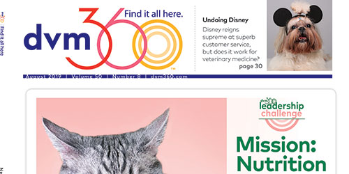 Top half of dvm360 magazine cover featuring a call out to story titled "Undoing Disney."