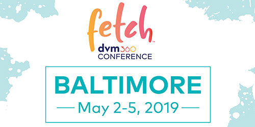 Top half of the cover to the Fetch dvm360 attendee notebook for the Baltimore 2019 event.